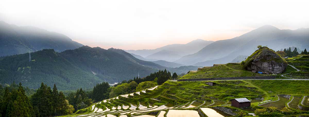 Japanese Landscape