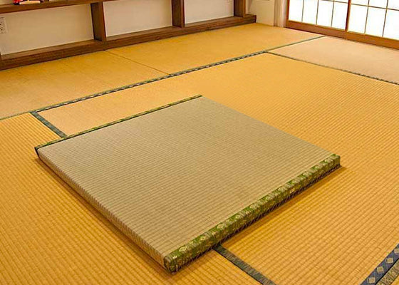 tatami mat half size with green borders